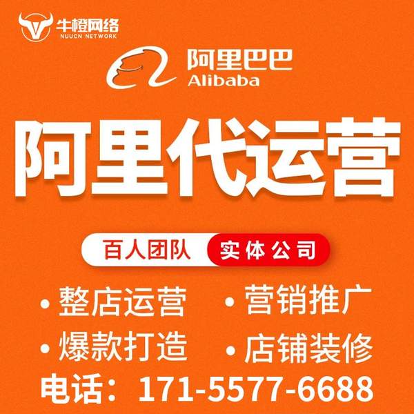 遵化电商代运营