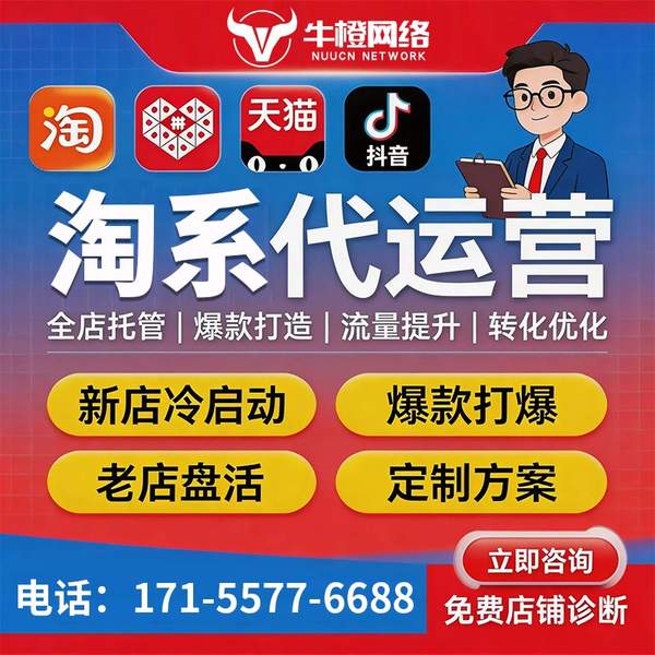 遵化电商代运营