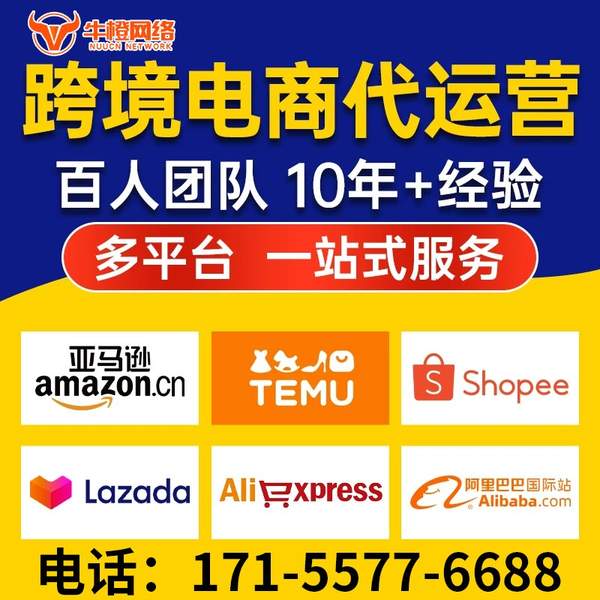 遵化电商代运营