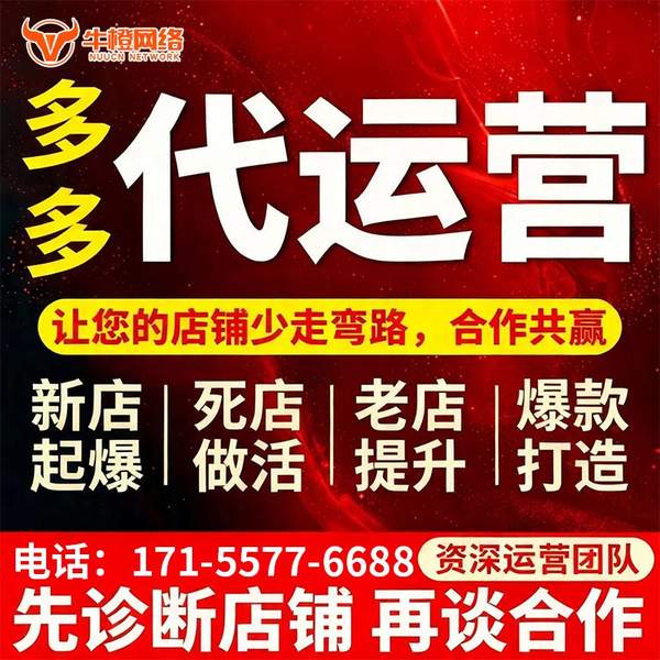 遵化电商代运营