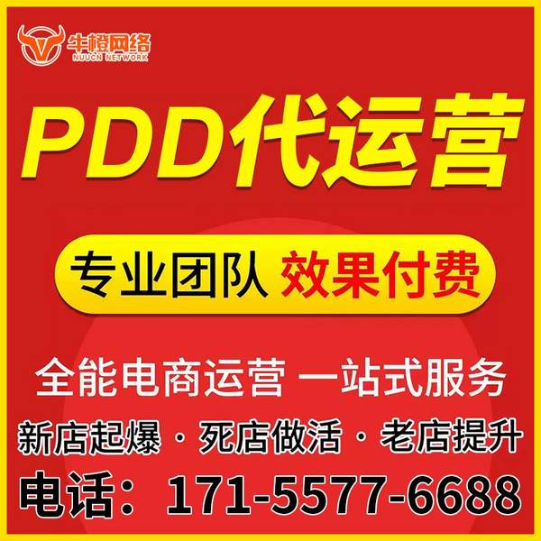 遵化电商代运营