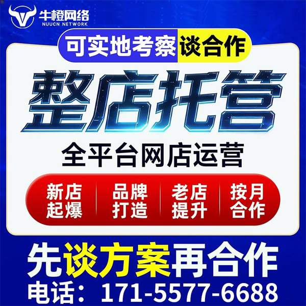 遵化电商代运营