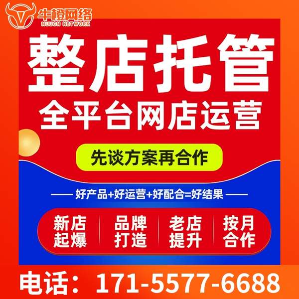 遵化电商代运营