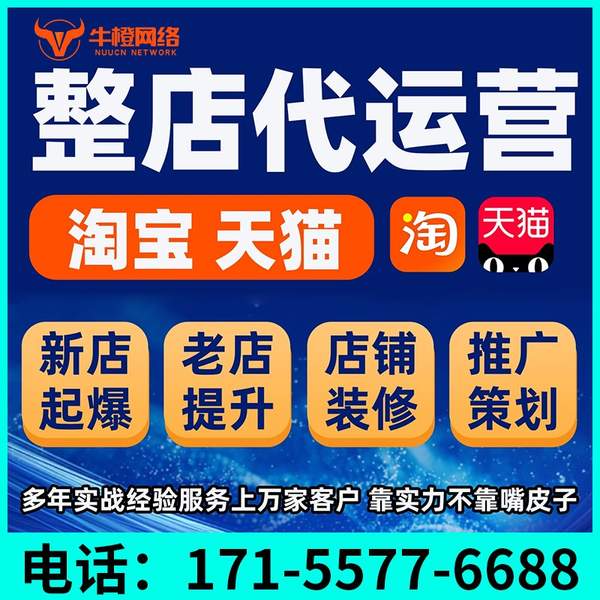 遵化电商代运营