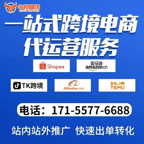 遵化电商代运营
