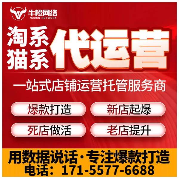 遵化电商代运营